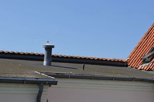 På denne tidligere kommunale bygning har vi forebygget larm og angreb fra mågerne ved at montere fuglepigge.