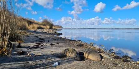 Vandreruten Horsens Fjord, sydsiden af fjorden, med kig ud over vandet