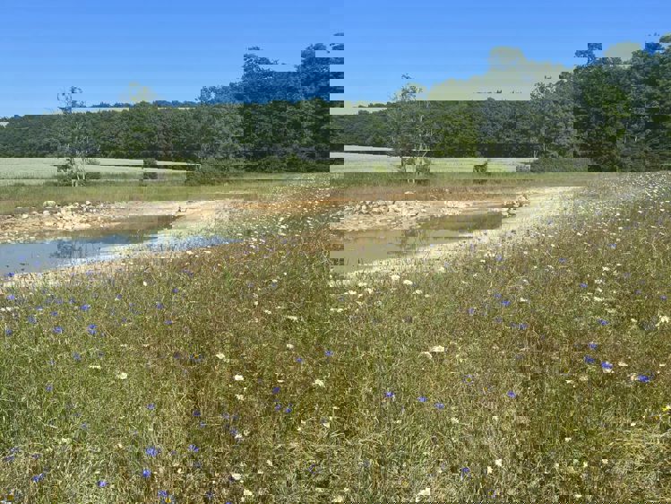 Tyrstedlund Naturpark