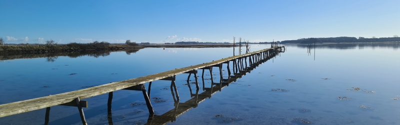 Vandreruten Horsens Fjord, sydsiden af fjorden, med kig ud over vandet fra Borre Knob