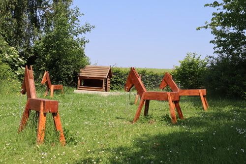 Træheste