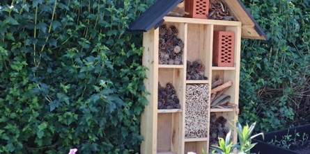 Insekthotel