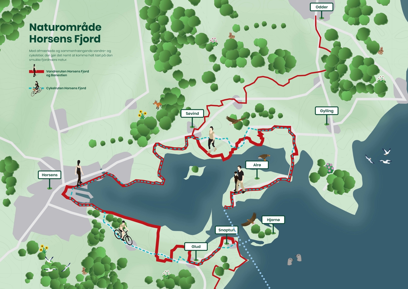 Grafisk kort over ruterne omkring Horsens Fjord