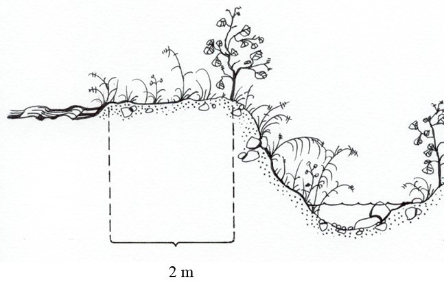 2-meter bræmme
